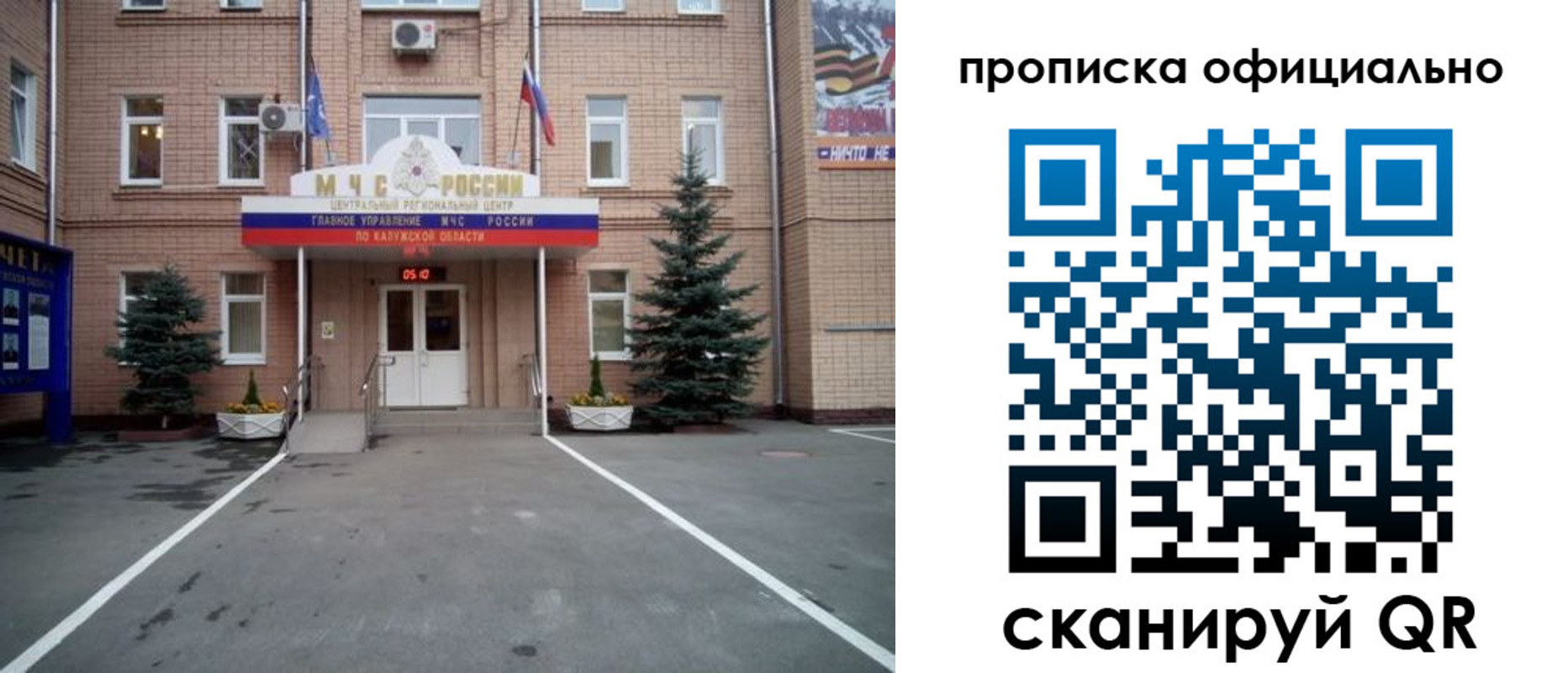 прописка для школы в Зверево